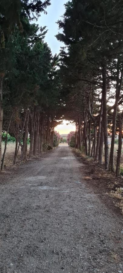 Tonnara di BonagiaLa Casa Del Gelso公寓 外观 照片