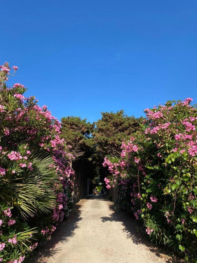 Tonnara di BonagiaLa Casa Del Gelso公寓 外观 照片